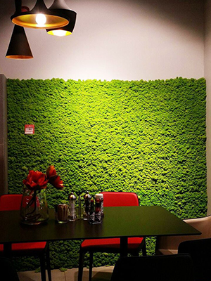 polarmoss pannello decorativo 3D flessibile per muro interior design_2 polarmoss pannello decorativo 3D flessibile per muro interior design_2